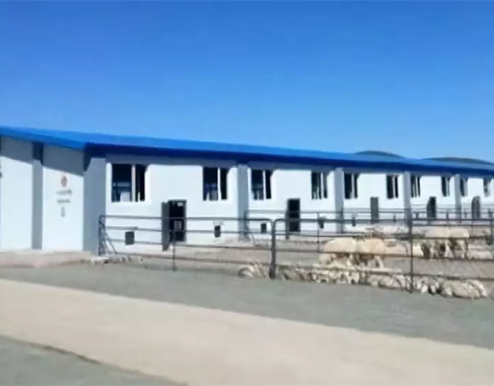 母豬產(chǎn)仔率低？這3個(gè)問題你一定要注意！