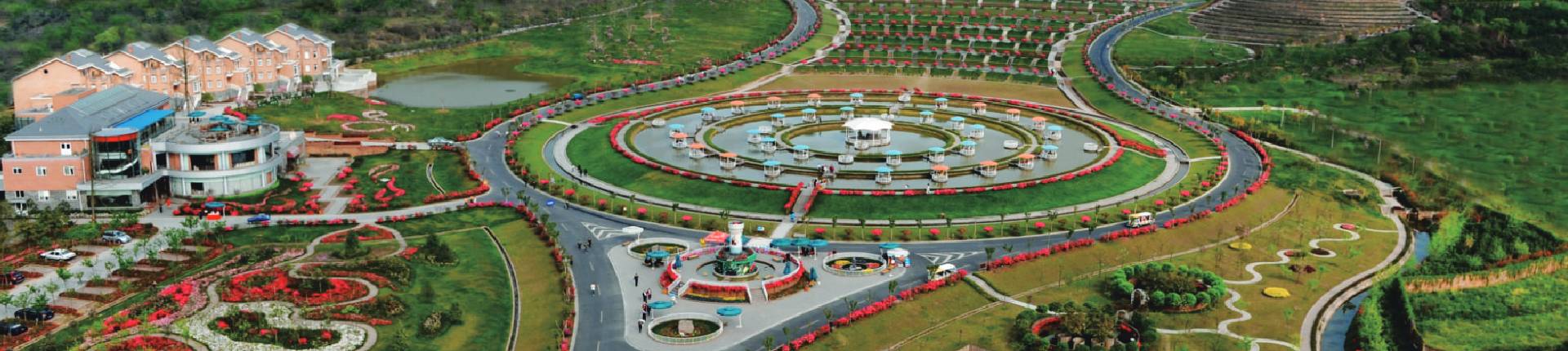 健康服務事業(yè)部