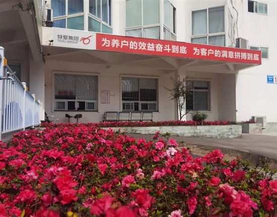 特驅(qū)農(nóng)牧“雙美評選”揭榜，現(xiàn)代化飼料工廠原來長這樣！